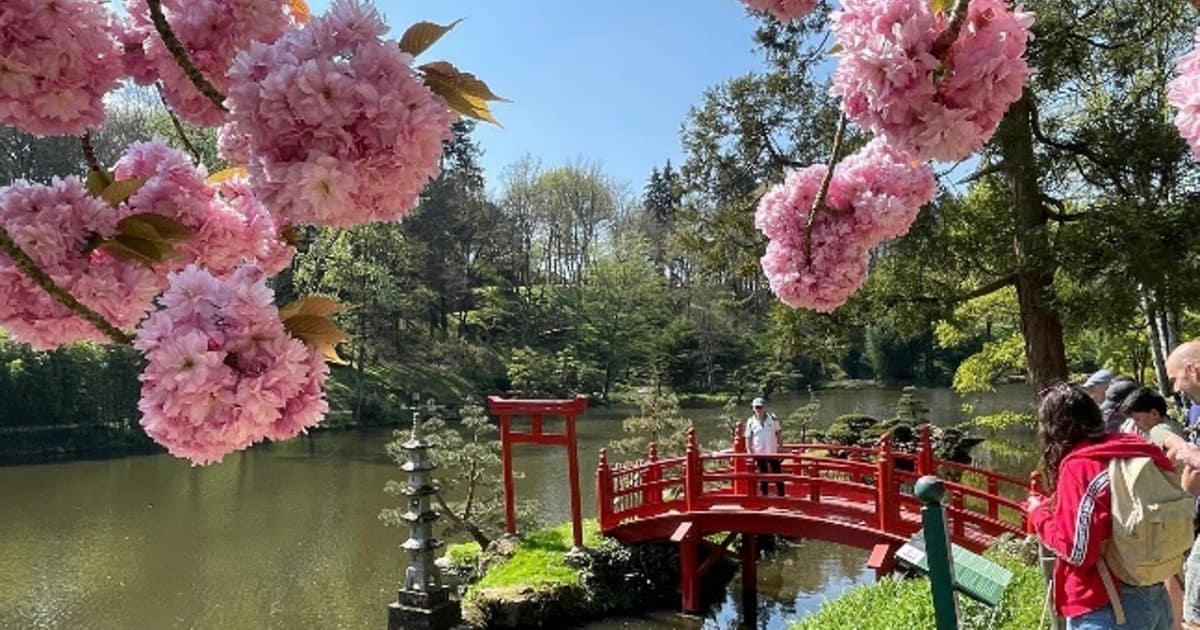 Le Parc Oriental de Maulévrier - Des plus beaux endroits pour admirer les sakura, cerisiers japonais, en fleurs, en France - boutique N'importe où - bougies, fondants et autres accessoires parfumés