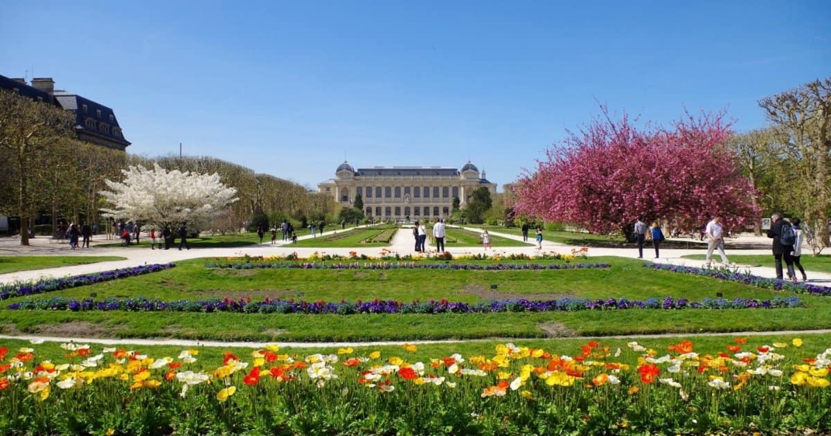 Le jardin des plantes à Paris - Des plus beaux endroits pour admirer les sakura, cerisiers japonais, en fleurs, en France - boutique N'importe où - bougies, fondants et autres accessoires parfumés