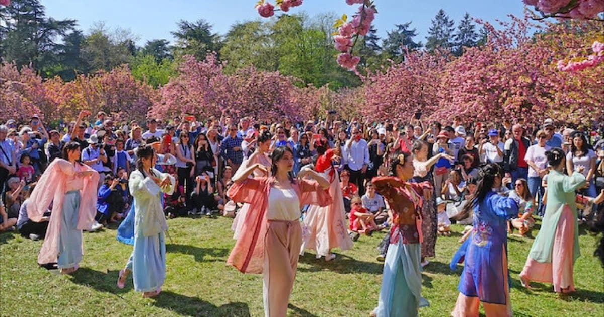 Parc de Sceaux Paris - Des plus beaux endroits pour admirer les sakura, cerisiers japonais, en fleurs, en France - boutique N'importe où - bougies, fondants et autres accessoires parfumés
