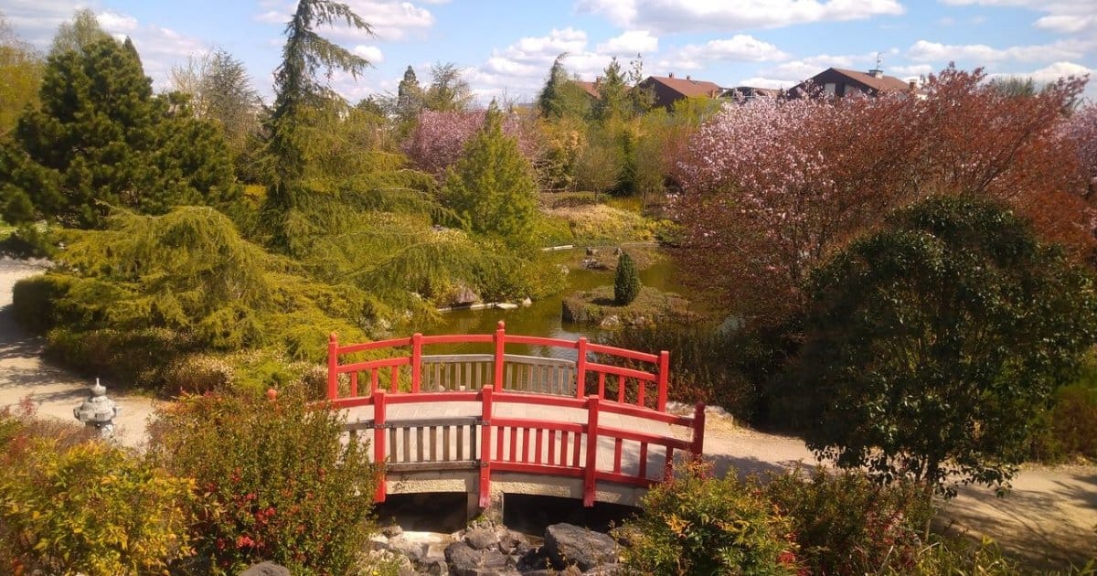 Parc de Suzon à Dijon - Des plus beaux endroits pour admirer les sakura, cerisiers japonais, en fleurs, en France - boutique N'importe où - bougies, fondants et autres accessoires parfumés