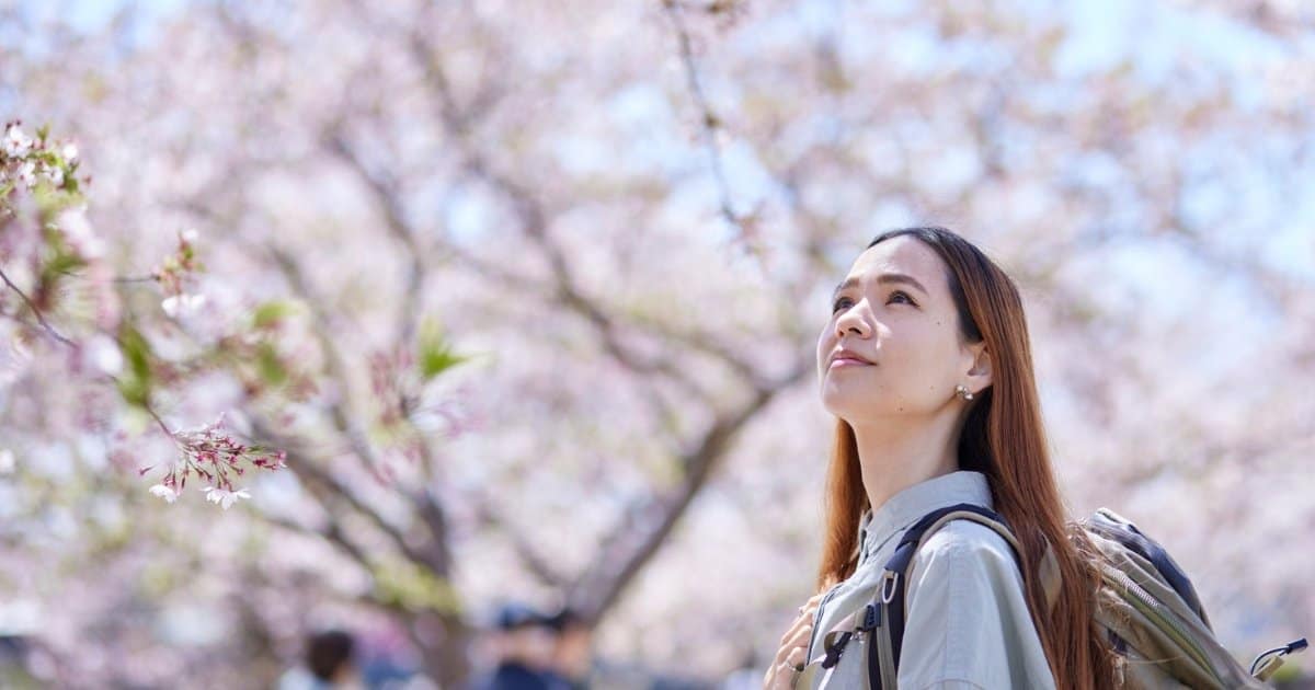 hanami fete du sakura tradition japonaise - guide pratique de hanami en France Une jeune japonaise en train de contempler un arbre de Sakura en floraison - hanami fete du sakura tradition japonaise - guide pratique de hanami en France