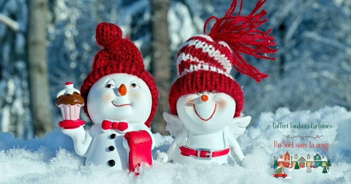 idées de cadeaux de Noël pour son copain - coffre un noel sous la neige idées de cadeaux de Noël pour son copain - coffre un noel sous la neige