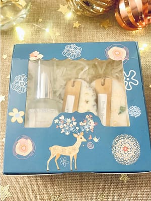 Coffret découverte cocon parfumé brume oreiller et suspensions d'armoire