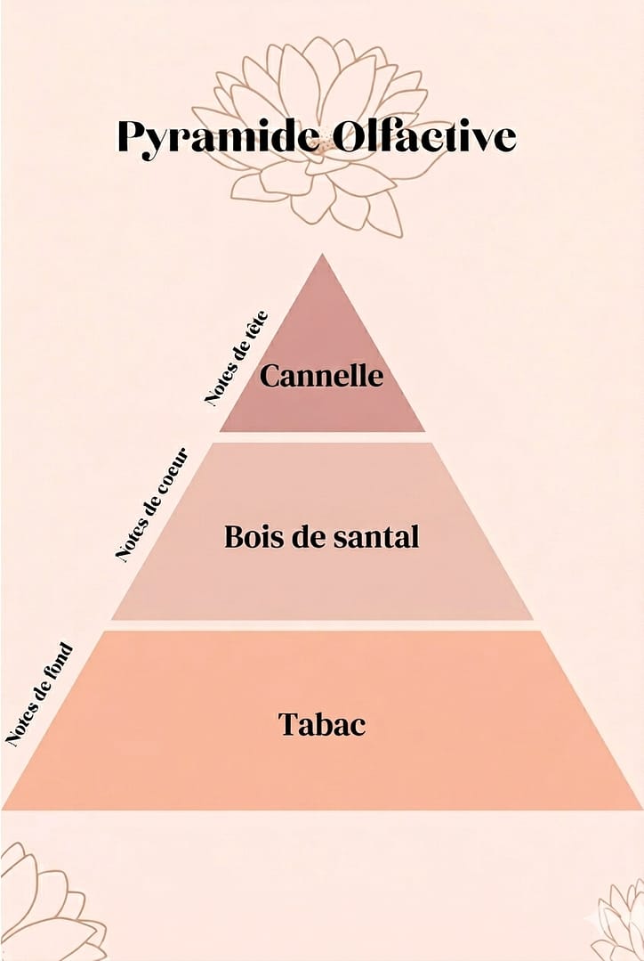 Pyramide olfactive Bougie parfumé 37 boulevard saint germain tabac & Bois santal