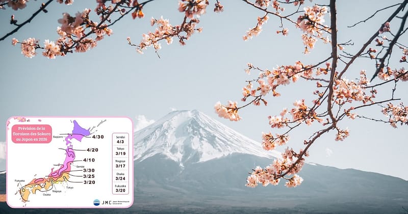 Sakura - quand voir les cerisiers en fleurs au Japon Calendrier 2026