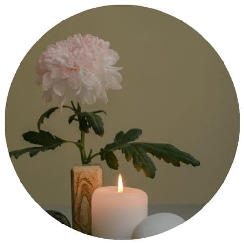 parfums d'intérieur pour l'hiver - fleur de lin et lavande redynamisent l'intérieur